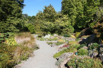 Fototapeta na wymiar Christchurch Botanic Gardens