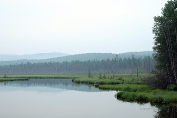 misty morning on the lake. early summer morning. drizzling rain. forest on the lake. photo toned.soft focus