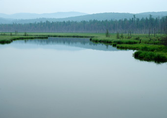 misty morning on the lake. early summer morning. drizzling rain. forest on the lake. photo toned.soft focus