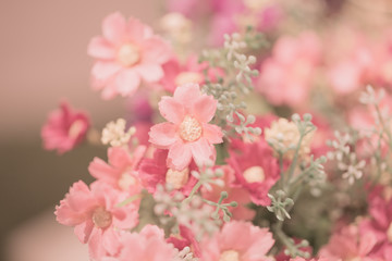 Pink flower vintage color tone background love concept