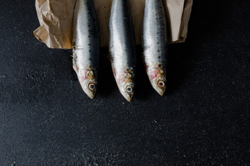 Sardines on dark background