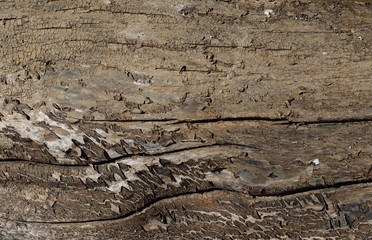old sometimes looks very nice
rough old wood texture