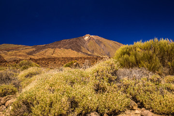 Volkan Teide
