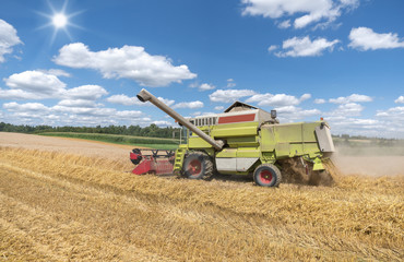 Fototapeta premium Mähdrescher bei der Ernte auf einem Getreidefeld im Sonnenlicht