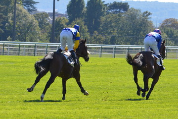 cheval de courses