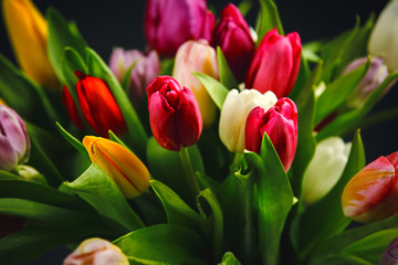 Tulips Bouquet