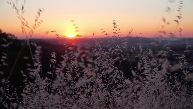 Sunset over grasses v2