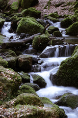 river motion going through moosy stones