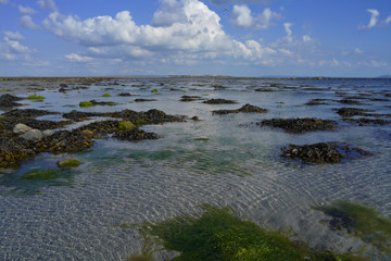 Fototapeta na wymiar plage de Galway, Connacht, Irlande
