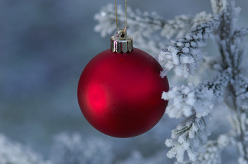 Christmas ball with snow and frost
