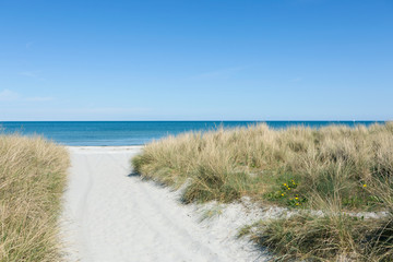 Fototapeta na wymiar Weg durch den Sand zum Strand im Sommer