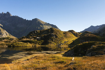 Schweizer Berglandschaft in der Sustenpass Region - Idyllische Alpenlandschaft mit Bergsee und Hügel