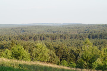 Widok na pola wiosną © klumb