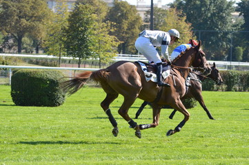 cheval de courses