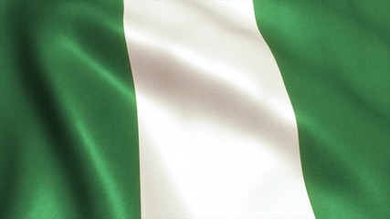 Nigeria Flag. Seamless Looping Animation. 4K High Definition Video