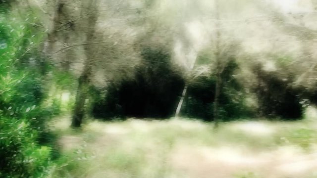 Fast timelapse of a run in the woods, ending near a lake. Flashback style.
