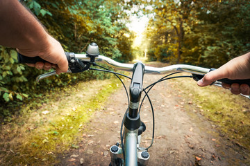 Naklejka na ściany i meble Fahrt mit Fahrrad durch Herbstwald