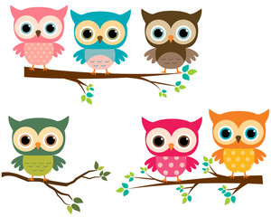 Naklejka premium Vector Collection of Cute Cartoon Owls and Tree Branches
