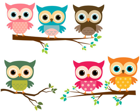 Vector Collection of Cute Cartoon Owls and Tree Branches