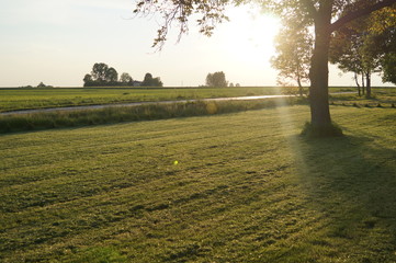 Trawnik po skoszeniu w promieniach słonecznych © klumb