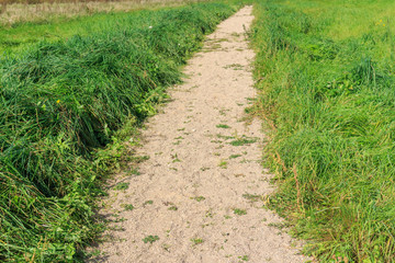 The track in the meadow