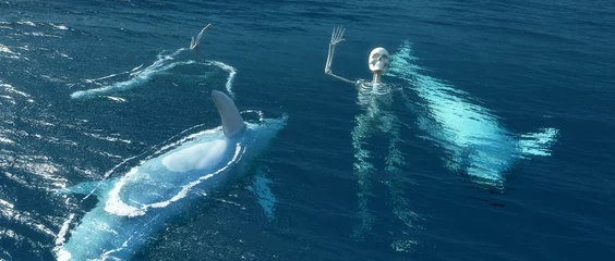 Crédence de cuisine en verre imprimé Dauphin dauphins morts et squelette