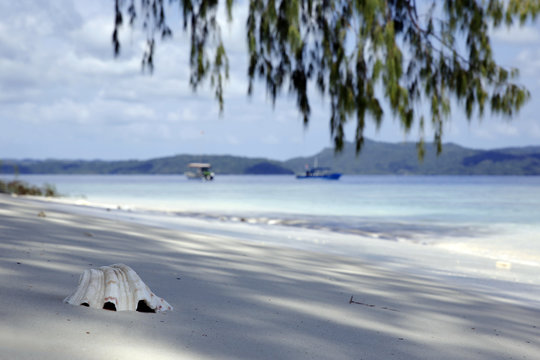 Sea Shell in the Sand, with Boats in the Background. Dampier Strait, Raja Ampat, Indonesia