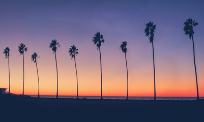 Vintage California Beach Photo - Row of palm trees silhouettes during a colorful sunset at the beach in California  - obrazy, fototapety, plakaty