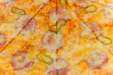 Obraz na płótnie Canvas Background from tasty pizza