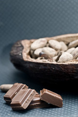 bean of cocoa