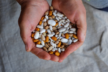 beans in the hands of the hands of the workers