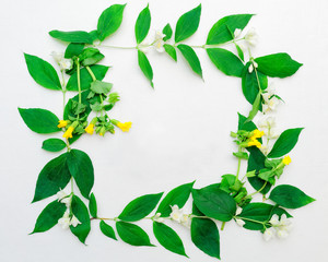 Fototapeta na wymiar Wreath of jasmine flowers and leaves and yellow field flowers