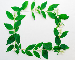 Wreath of jasmine flowers and leaves on white background