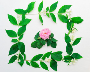 Wreath of pink tea rose and jasmine flowers