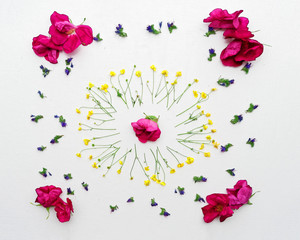 Wreath of ranunculus and pink tea rose on white background