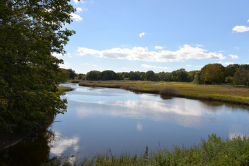 Marsh New England