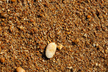 sand, Blank natural background