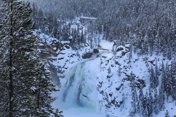 Obraz premium Yellowstone National Park