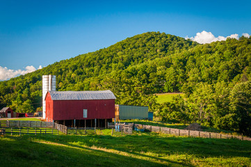 Barn on a farm and mountain in the rural Shenandoah Valley of Vi © jonbilous