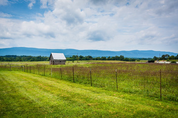 Fields and small shed, with mountains in the distance in Elkton,