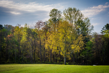 Fototapeta na wymiar Spring colors on trees in the rural Shenandoah Valley of Virgini