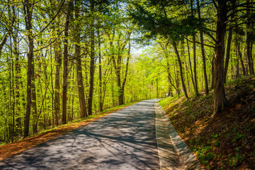 Spring colors along a road in the rural Shenandoah Valley of Vir