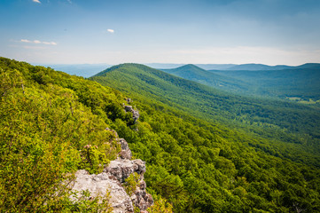 View of the Appalachian Mountains from cliffs on Big Schloss, in