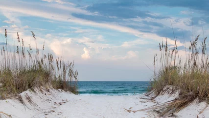 Foto op Canvas White sandy beach path to the ocean. © tputman151