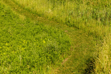 Grass path