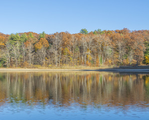 Fototapeta na wymiar Late Autumn scenery reflects on a ripply lake. 