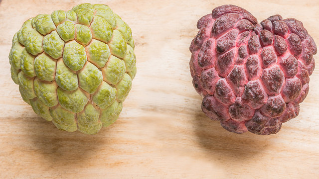 custard apple two species closely.