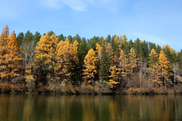 bright autumn landsape. blue sky and colorful green, yelow and orage foliage reflect in calm water of river/