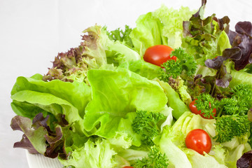 Fresh Salad
