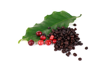 coffee beans and red ripe coffee